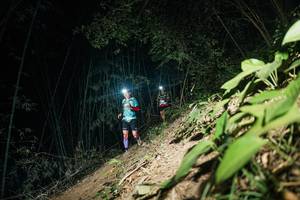 BIB: 
                            <button type="button" onclick="openModal(28117289)" class="btn btn-primary btn-sm float-right btn-popup" data-toggle="modal" data-target=".modal-high-quality">
                        <i class="fas fa-shopping-cart"></i> Add to Cart
                    </button>
                                            <button type="button" onclick="isThisMe(28117289, true)" class="btn btn-success btn-sm float-right btn-popup btn-isme hidden" data-toggle="tooltip" data-placement="bottom" title="นี่คือรูปของคุณใช่ไหม คลิกที่นี่เพื่อเอาเข้าอัลบั้ม">
                        <i class="fas fa-plus"></i> Add to album
                    </button>
                    <button type="button" onclick="isThisMe(28117289, false)" class="btn btn-warning btn-sm float-right btn-popup btn-isnotme hidden">
                        <i class="fas fa-ban"></i> Remove from album
                    </button>